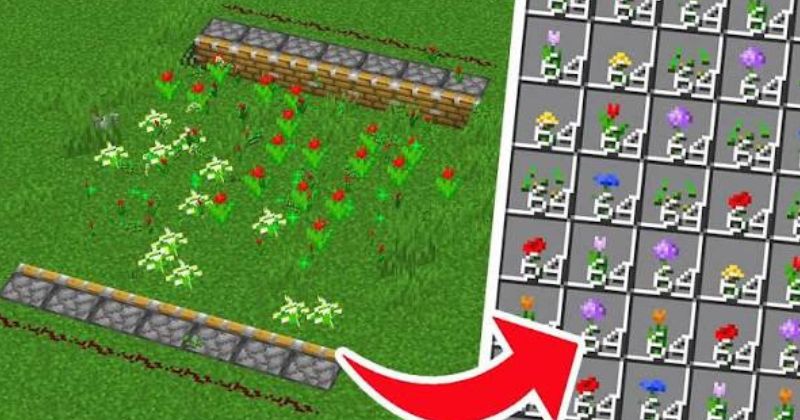 Hướng dẫn cách xây dựng trang trại nhân giống hoa tự động