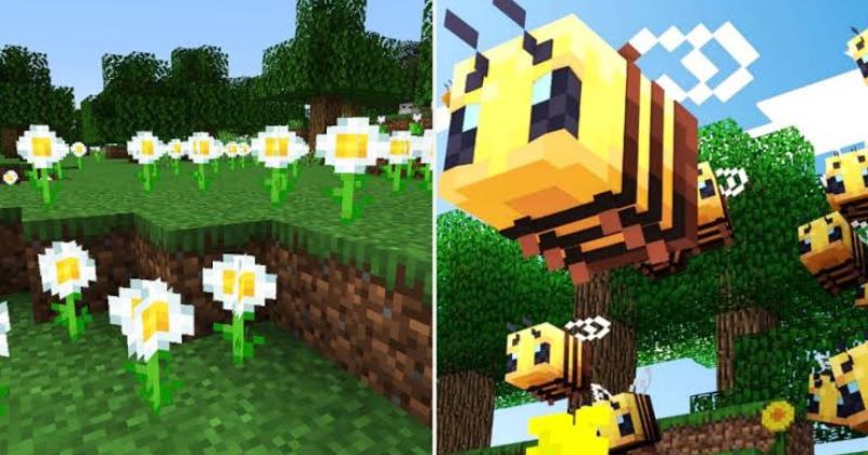 Toàn bộ công dụng thực tế của hoa trong Minecraft